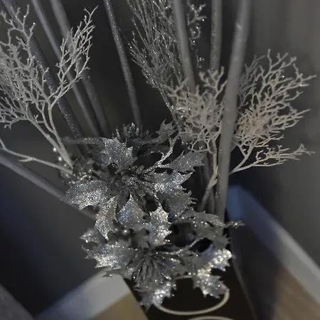 Legacy Marine2 - Zadar, Luxury Apartman Zadar